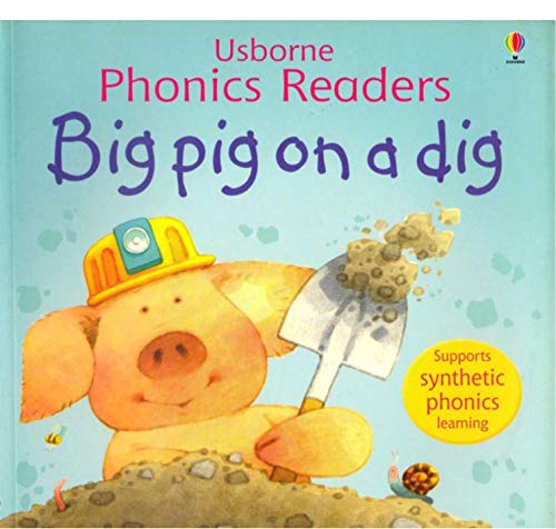 big pig on a dig: World's best picture books (English Edition)