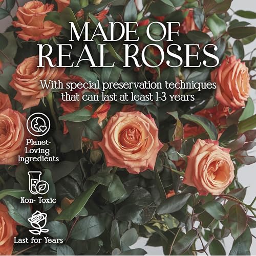Image of GLAMOUR BOUTIQUE 16 Flower Forever Heart Shape Box, Mothers Day Gift For Mom, Eternal Preserved Roses Gift for Her, Flowers bouquet, For Birthday, Anniversary, Girlfriend - Orange (Color-Treated)