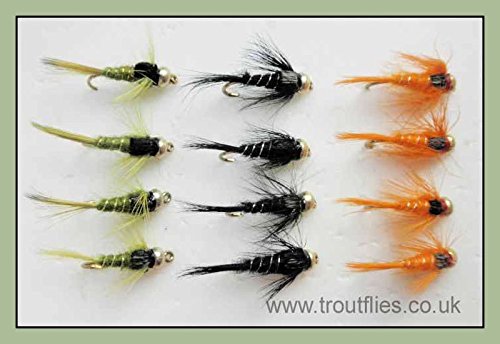 12 goldhead Nymphe truite mouches, argent, nervuré, trois couleurs Taille 10/12 Cover