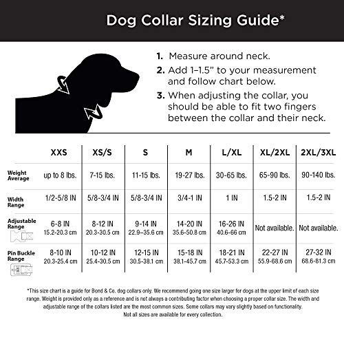 Petco Brand - Youly Anchor Dog Collar, Medium #TOP3