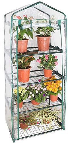 Rocky Mountain Goods 4 Tier Mini Greenhouse with Shelves - Outdoor/Indoor Greenhouse with Zippered Access Door - Easy No Tools Required Assembly - Heavy Duty Frame/Shelves