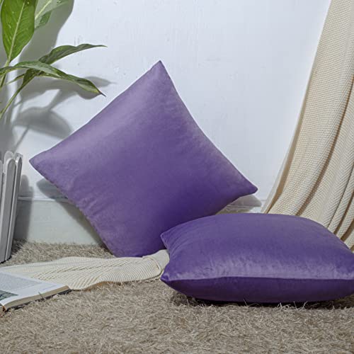 Image of Cazimo Velvet Cushion Covers for Bed, Sofa and Couch - 16 * 16 inches | Ideal for Living Room | Set of 2, Purple