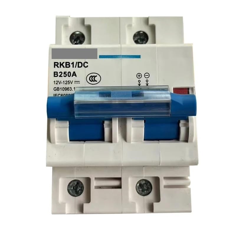 Interruttore Magnetotermico Interruttore automatico CC 80A 100A 125A 150A 200A 250A 12V 24V 36V 48V 60V 72V 120V di sicurezza(2P,125A)