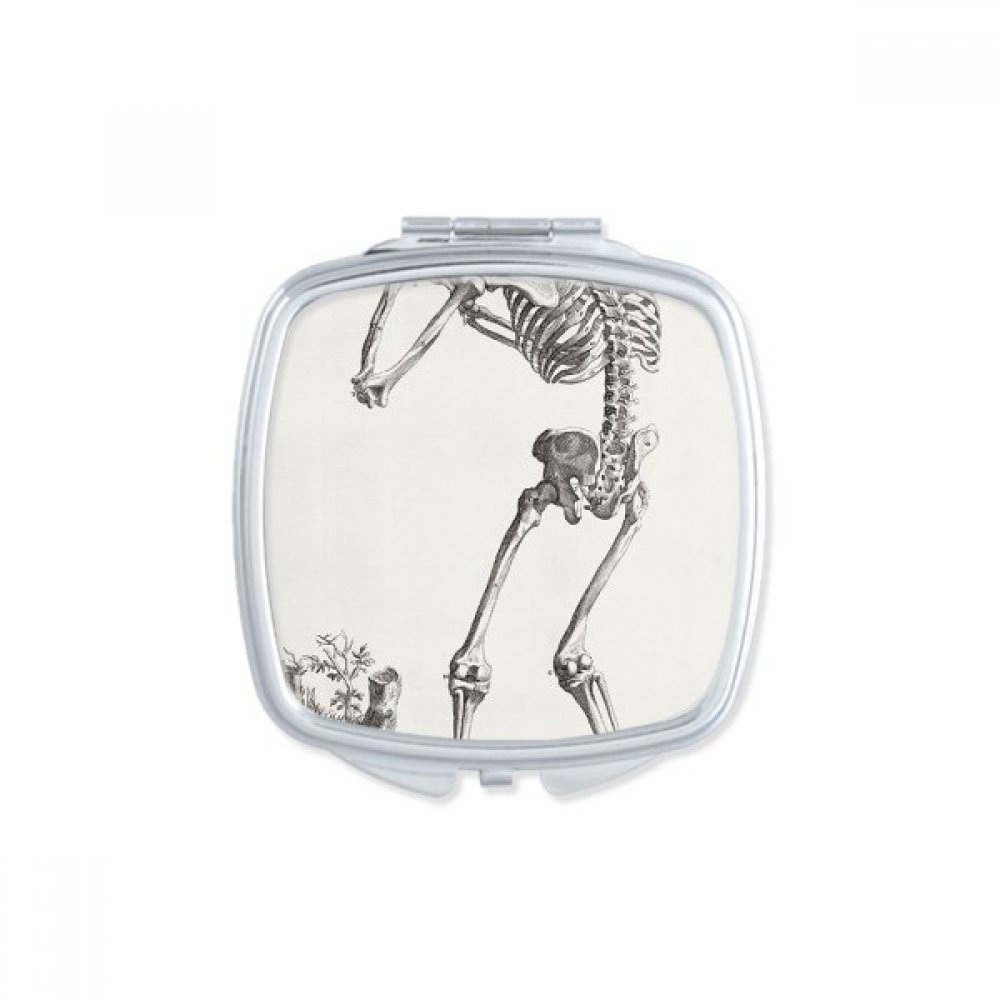 Miroir de maquillage squelette humain compact pour corriger ses imperfections partout
