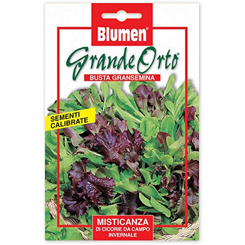 BLUMEN SEMENTI, MISTICANZA DI CICORIE DA CAMPO INVERNALE