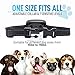 MK Global No Shock Bark Collar for Small, Medium Dogs 15 to 110 Lbs - Humane Vibration and Sound Training Anti-Barking Collar