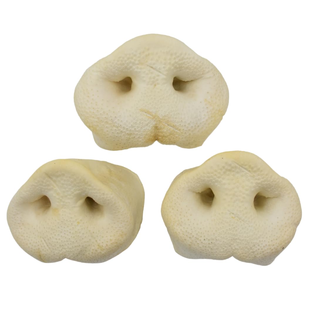 Express Pet Supplies 50 x White Puffed Pig Snouts Dog Treat Chew