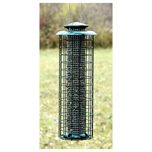 Woodlink Caged Screen Tube Bird Feeder