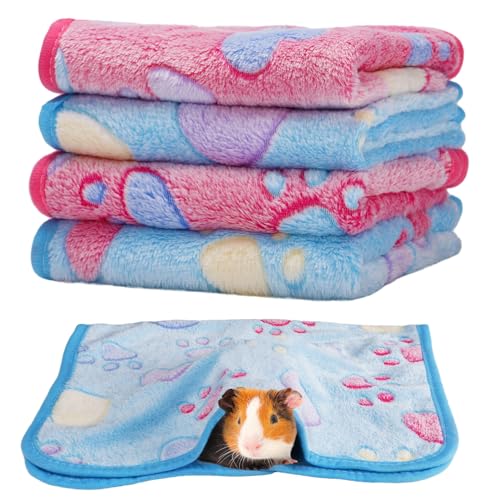 Guinea Pig Blanket