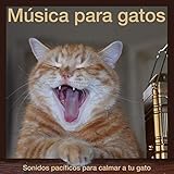 primavera verano 2019 massimo dutti  Primavera a Verano