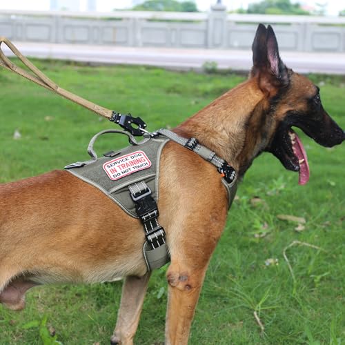 ICEFANG GN8 Quick-Moving Tactical Dog Harness with 2xMetal Buckles for Large Sized Dogs,Reflective K9 Vest,No-Pull Front Leash Clip,5-Points Adjustable Pet Harness (Green, Large (Pack of 1)) - Thumbnail 4