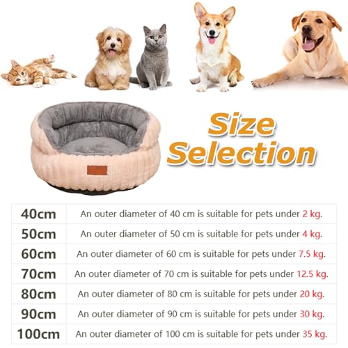 Mateju Hundebett Flauschig Donut, Runden Plüsch Haustierbett Katzenbett Flauschig Weiche Warme Hundekissen mit rutschfest Unterseite Katzenkissen für Mittelgroße Kleine (Bunt,50cm)