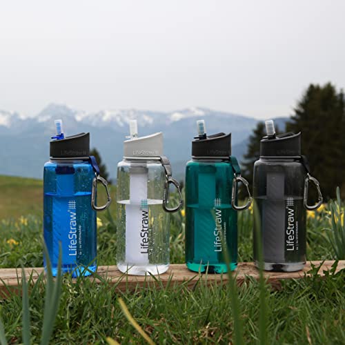 LifeStraw Go 1L Water Bottle with Filter; 1L