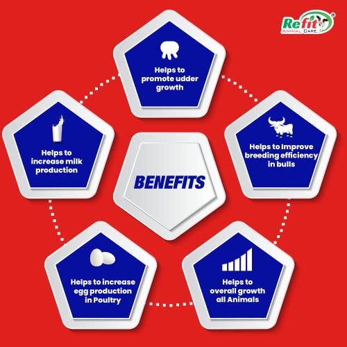 Image of REFIT ANIMAL CARE Veterinary Vitamin H Supplement for Cow, Cattle, Goat, Chicken, Layers, Broilers, Poultry and Other Livestock Animals, 250ml, Reshell H