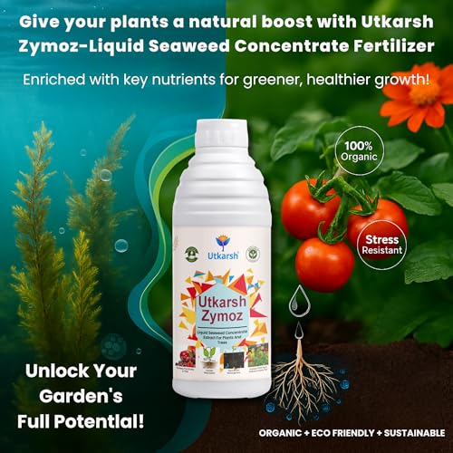 Image of Utkarsh Liquid Seaweed Extract | Organic Plant Growth Promoter for Healthy Plants | Enhances Flowering & Improves Fruit Set | Biostimulant For Home Garden - Zymoz (2 Liter; Pack of 2 of 1 Litre)