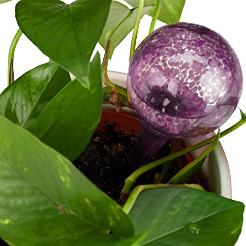 Relaxdays Bewateringsbal set van 2, gedoseerde planten irrigatie bloemen, gieter hulp kantoor, vakantie, Ø 6 cm, glas… - Afbeelding 3