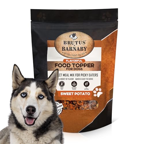 10 Best Dog Food Instagram Accounts to Follow for Expert Reviews and