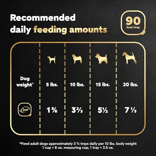 Image of Cesar Classic Loaf in Sauce Adult Wet Dog Food Filet Mignon Flavor, Wet Food for Dogs, 3.5 oz Easy Peel Trays, 24 Count (Pack of 2)