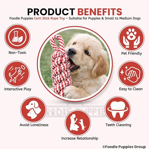 Image of Foodie Puppies Durable Cotton Rope Chew Toy for Dogs (Corn Stick) | Chewing, Fetching, Playing, Teething & Training for Small to Medium Dogs & Puppies (Color May Vary)