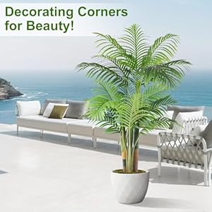 5ft Tall Triple Golden Cane Palm Artificial Tree Large Tropical Palm Tree UV Resistant Fake Plant in Pot for Indoor Outdoor Big House Living Room Outside Patio Office Home Decor 2Pack 5ft Tall Triple Golden Cane Palm Artificial Tree Large Tropical Palm Tree UV Resistant Fake Plant in Pot for Indoor Outdoor Big House Living Room Outside Patio Office Home Decor 2Pack