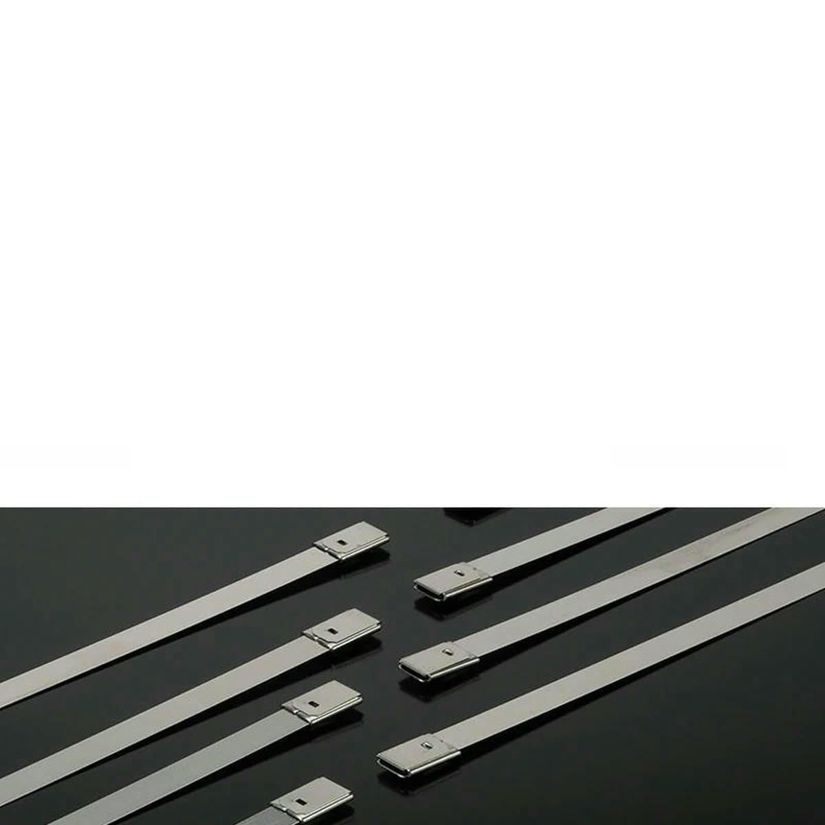 100/10Pcs 304 Cable Ties 4.6mm Heavy Duty Self-Locking Cable Zip Tie Multi-Purpose Exhaust Wrap-4.6X100mm-10