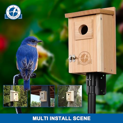 Bluebird-Houses-for-Outside-Blue-Bird-Houses-for-Outdoors-Premium-Bird-House-Pack-of-2-Bluebird-House-Wooden-Birdhouses-Kits-for-Adults-for-Durable-Yard-Decor Bluebird Houses for Outside Blue Bird Houses for Outdoors Premium Bird House Pack of 2 Bluebird House Wooden Birdhouses Kits for Adults for Durable Yard Decor