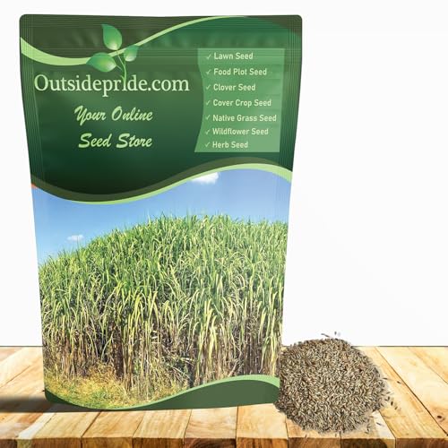 Outsidepride Switchgrass Seed - 1 lb