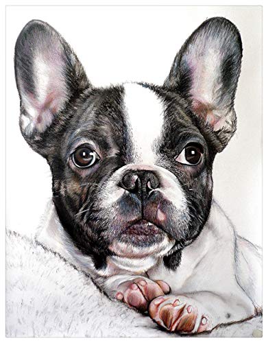 Puzzle 1500 Pièces Adultes,Puzzle Difficile Adulte,Puzzle en Bois,Jeu De Défi Familial - Bouledogue Français Mignon Cover