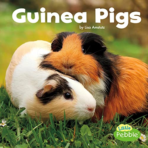 Guinea Pigs by Lisa J. Amstutz episode artwork