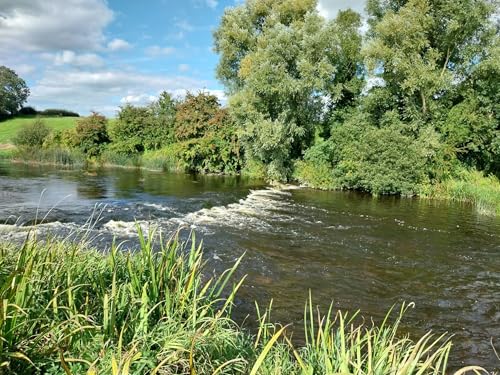Brown trout fishing on the Boyne
