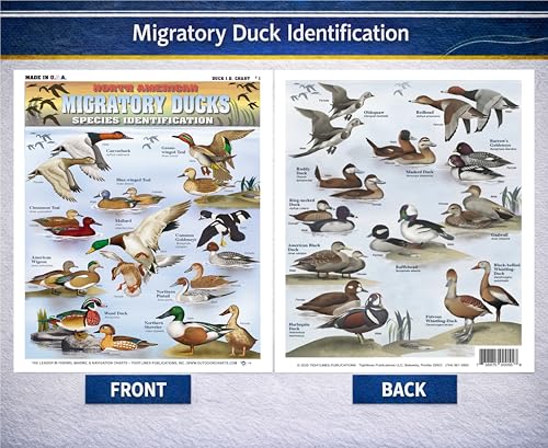 Image of Duck Identification #1 (North American Migratory Ducks) - Waterproof Quick Reference Guide | Portable & Built to Last | Double-Sided & Easy to Read | Includes Size, Location, and Color Patterning
