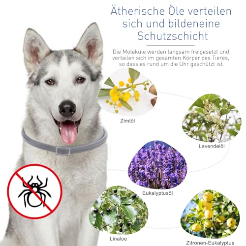 DEWEL 2pcs Hund Zecken Halsband, Zeckenband für Katzen, Natürliches Zeckenhalsband für Hunde und Katzen, Reflektierendes Halsband gegen Zecken & Flöhe, Flohhalsband gegen Zecken, Milben