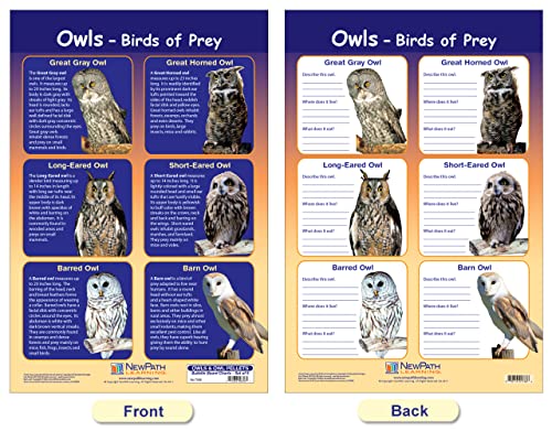 Newpath Learning Owls & Owl Pellets Bulletin Board Charts, Set/5 - Laminated, Double-Sided, Full-Color, 12" X 18" (94-7006) #TOP1