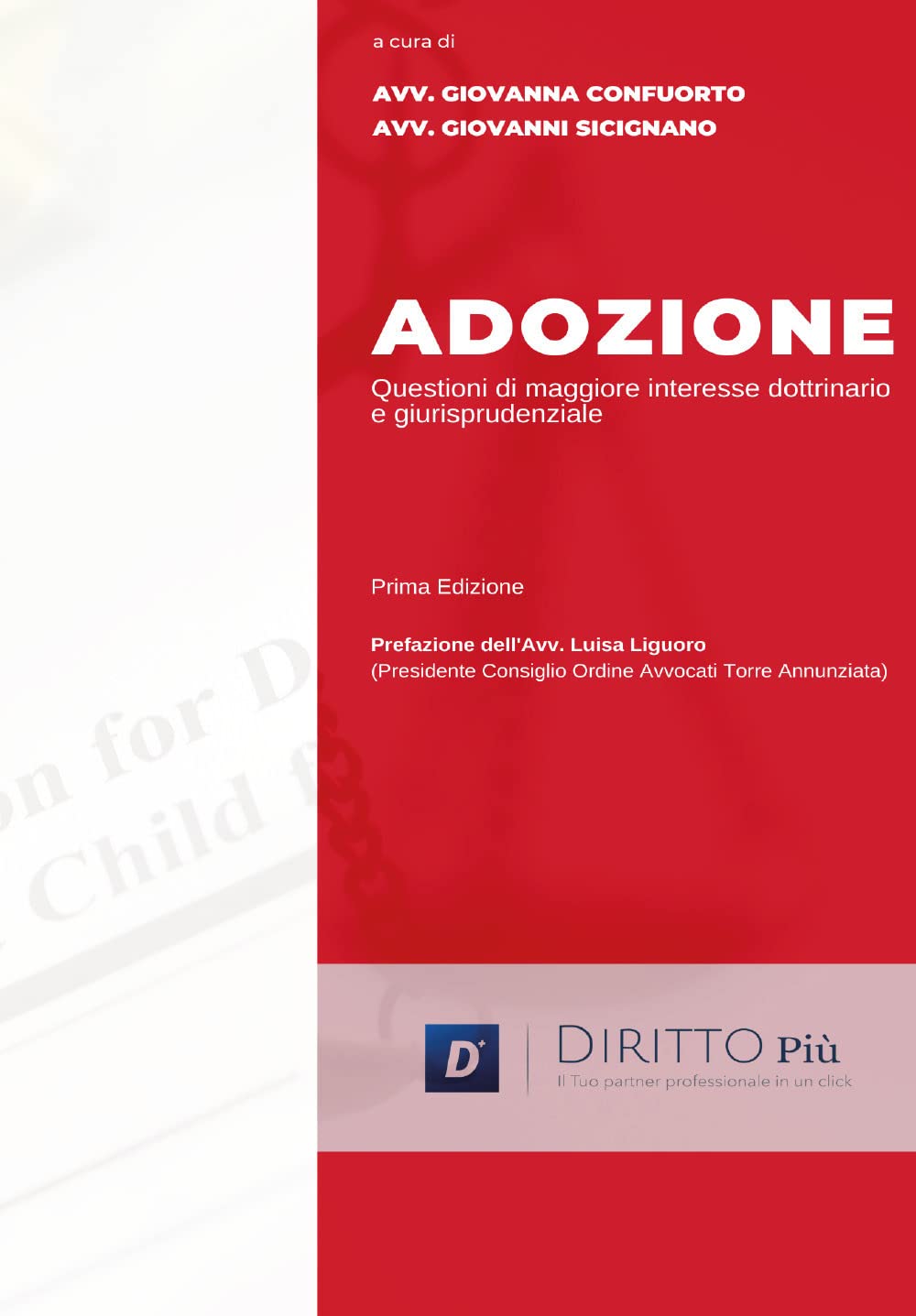 Adozione e Questioni di Maggiore Interesse Dottrinario e Giurisprudenziale (Italian Edition)