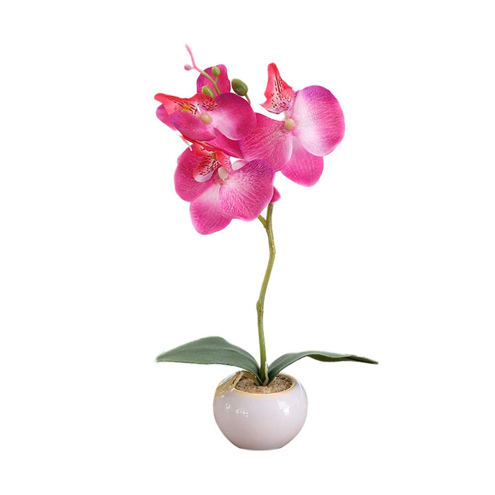 Meideli Artificial Orchids with Vase Plastic Phalaenopsis Orchid Flower Plant Pot Faux Flowers Arrangement for Home Kitchen Table Centerpiece Decor
