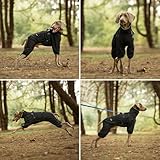 PAWBOSE Hunderegenmantel mit Geschirr für mittlere und große Hunde, verstellbare wasserdichte Hunderegenjacke, reflektierender regenfester Hunde 4 Beine Regenmantel Schwarz, 4XL