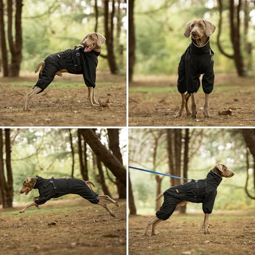 PAWBOSE Hunderegenmantel mit Geschirr für mittlere und große Hunde, verstellbare wasserdichte Hunderegenjacke, reflektierender regenfester Hunde 4 Beine Regenmantel Schwarz, 4XL