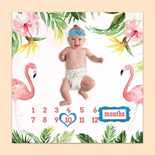 Image of Monthly Milestone Blanket for Baby Girl, Pink Flamingo Tropical Palm Leaf Growth Chart Blanket Baby Pictures, 47 inchx47 inch New Born Photography Backdrop 1-12 Months 4 Frames, 1 Headband, BTXTPH165