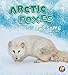 Arctic Foxes Are Awesome (Polar Animals)