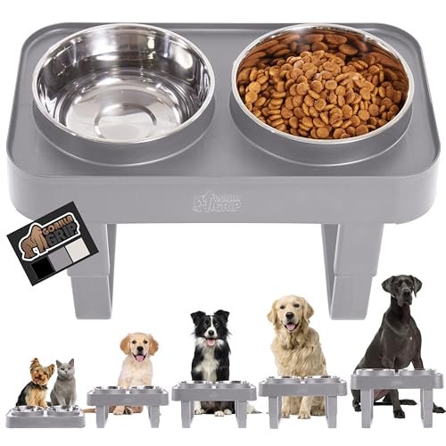 Raised Dog Feeder The 15 best products compared Wild Explained