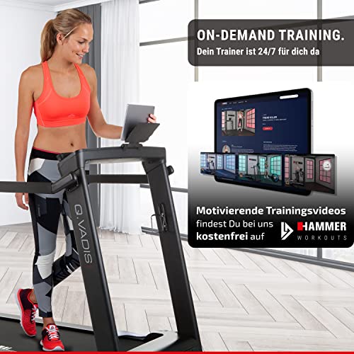 HAMMER Laufband Q. VADIS 7.0, 90% vormontiertes Laufband, senkrechte Klappfunktion, LCD-Anzeige, App-Steuerung, Kinomap… – Bild 3