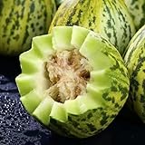 cantalupo reverdecimiento de tejados en espaldera de interior resistentes al aire libre semillas oficina jardín rocas bonsái decoración 225pcs