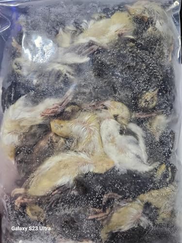 Lafeber's Premium Daily Diet Pellets for Cockatiels