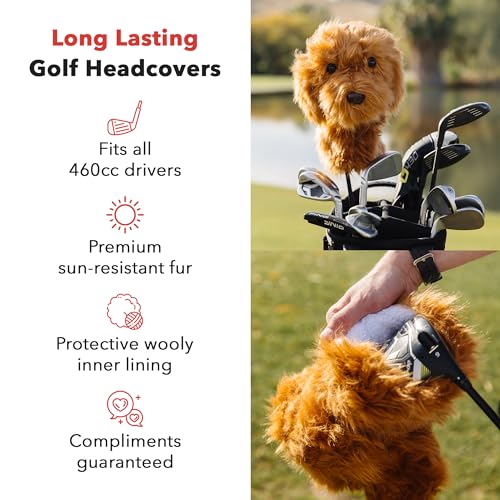 Goldendoodle Golf Headcover
