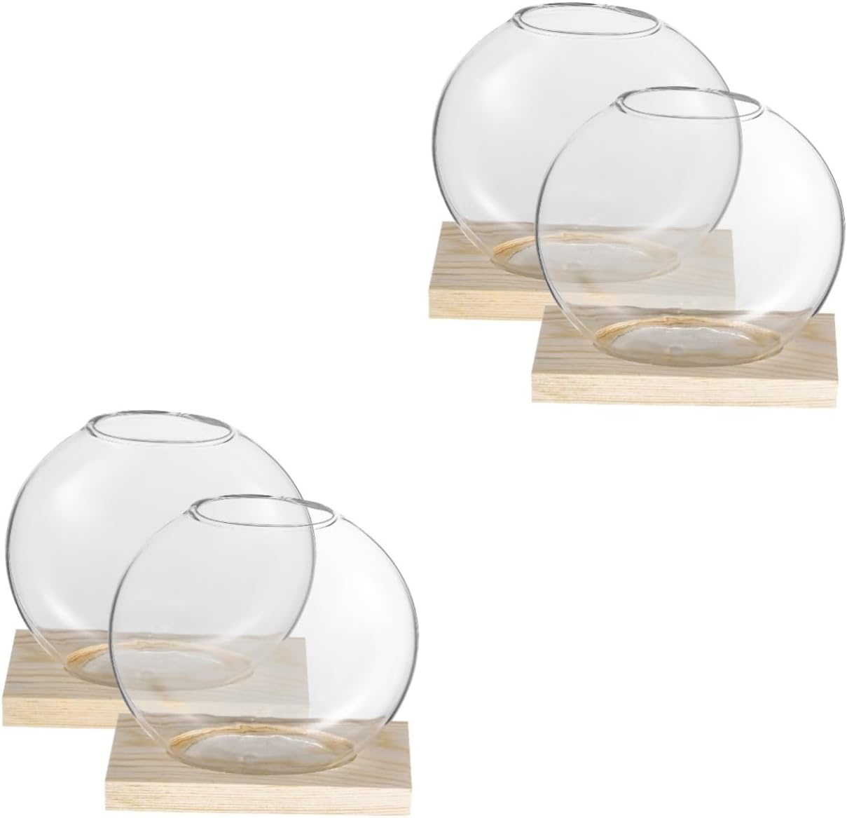 BESPORTBLE 4sets Nordic Style Hydroponic Plant with Stands for Decor Elegant Glass Propagation Holders for Indoor Plants for Displaying Greenery