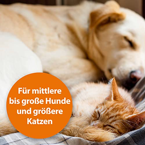 ARDAP Flohkamm und Staubkamm für Hunde und Katzen - Effektiv gegen Flöhe und Läuse - Professionelle und schonenden Fellpflege