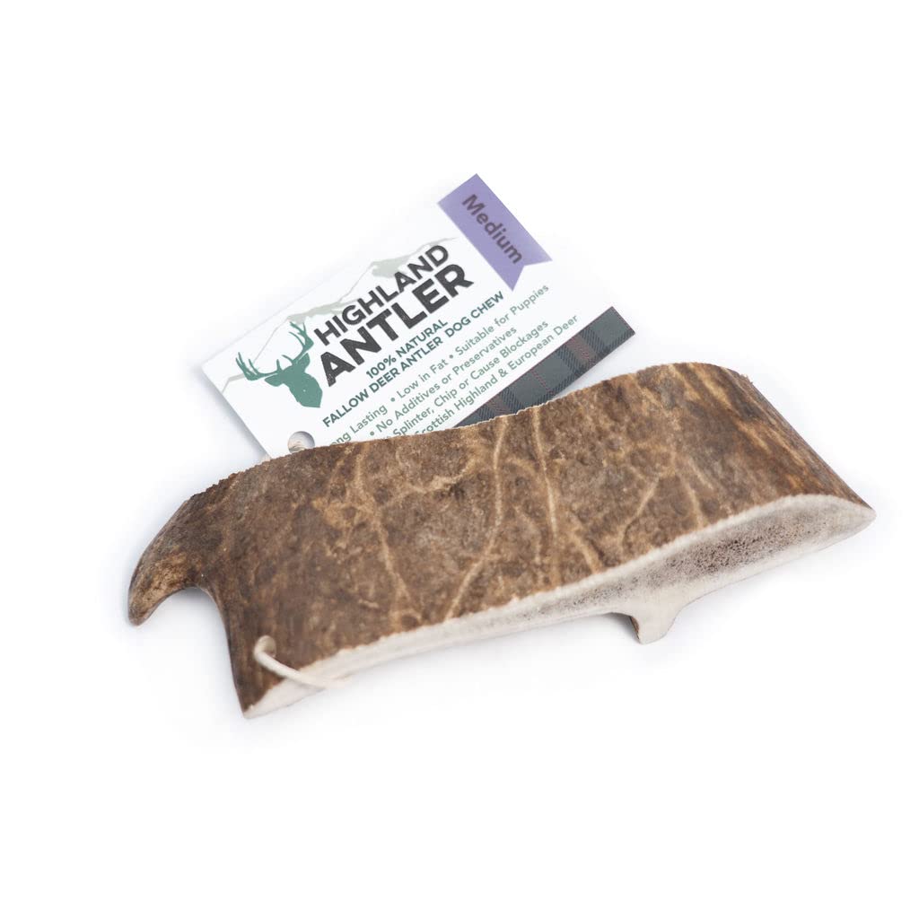 Natural Fallow Antler Dog Chew. Pack of 1x Medium (75g - 150g) Naturally Shed Fallow Deer Antler, Long Lasting Dog Chew Bone With Calcium And Minerals (Shape may vary)