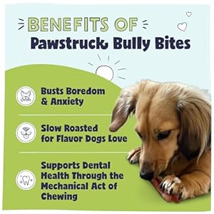 Pawstruck-Natural-1-4-Bully-Stick-Bites-for-Small-Dogs-Puppies--Single-Ingredient-Digestible-Rawhide-Free-Alternative-High-Protein-Chew-Treat-Bones-8-oz-Bag-Packaging-May-Vary - Cucciolini Doodles Pawstruck-Natural-1-4-Bully-Stick-Bites-for-Small-Dogs-Puppies--Single-Ingredient-Digestible-Rawhide-Free-Alternative-High-Protein-Chew-Treat-Bones-8-oz-Bag-Packaging-May-Vary