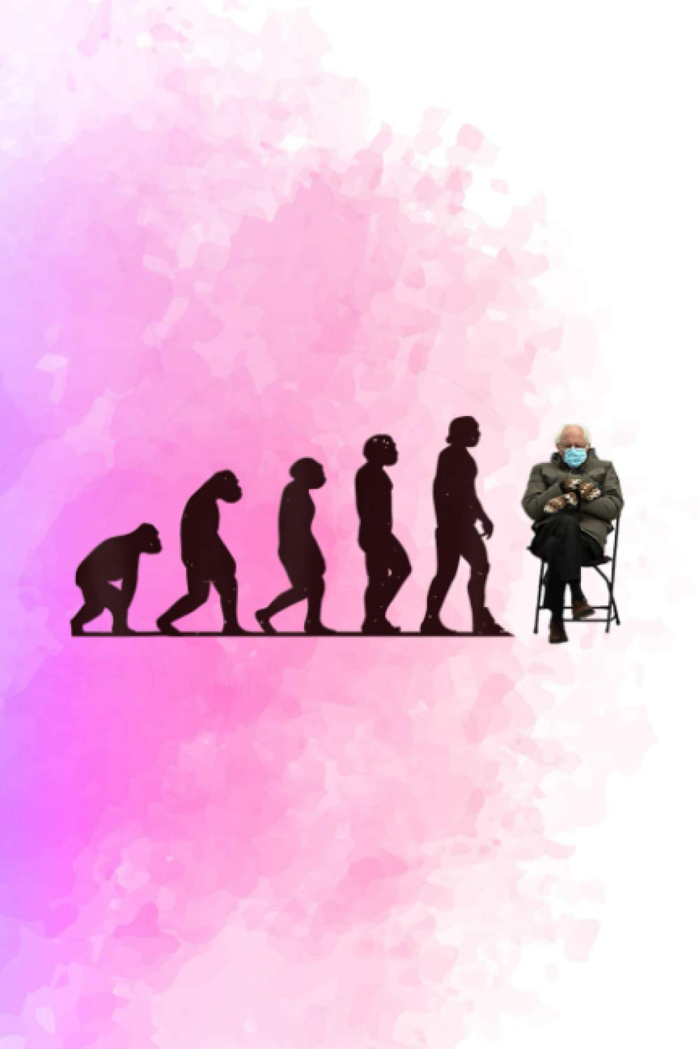 Flight Information - Evolution Of Bernie Sanders Mittens Meme