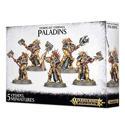 Warhammer Paladin Retributors